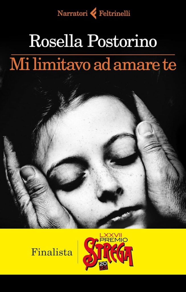 Book Cover: Mi limitavo ad amare