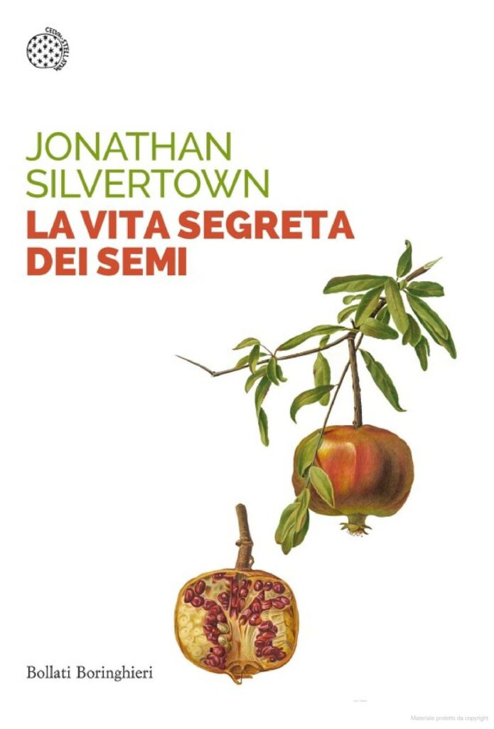 Book Cover: La vita segreta dei semi
