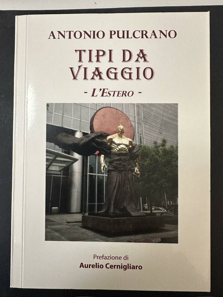 Book Cover: Tipi da viaggio -L'estero-