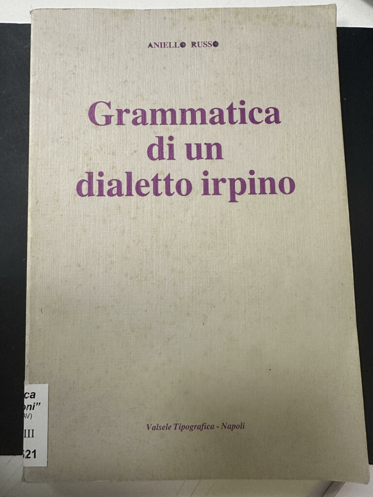 Book Cover: Grammatica di un dialetto irpino