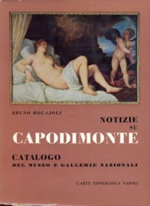 Book Cover: Notizie su Capodimonte