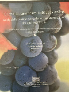 Book Cover: L' Irpinia, una terra coltivata a vite