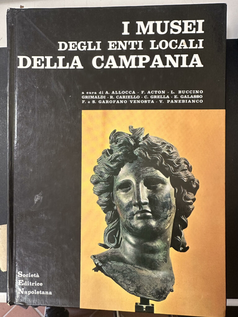 Book Cover: I Musei degli enti locali della Campania