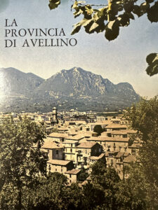 Book Cover: La Provincia di Avellino