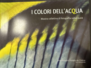 Book Cover: I colori dell'acqua