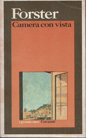 Book Cover: Camera con vista