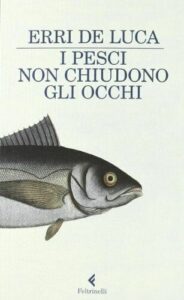 Book Cover: I pesci non chiudono gli occhi