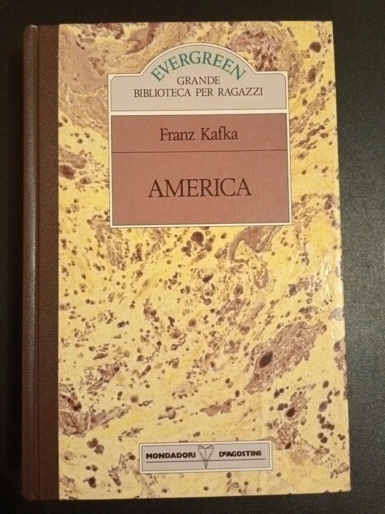 Book Cover: America